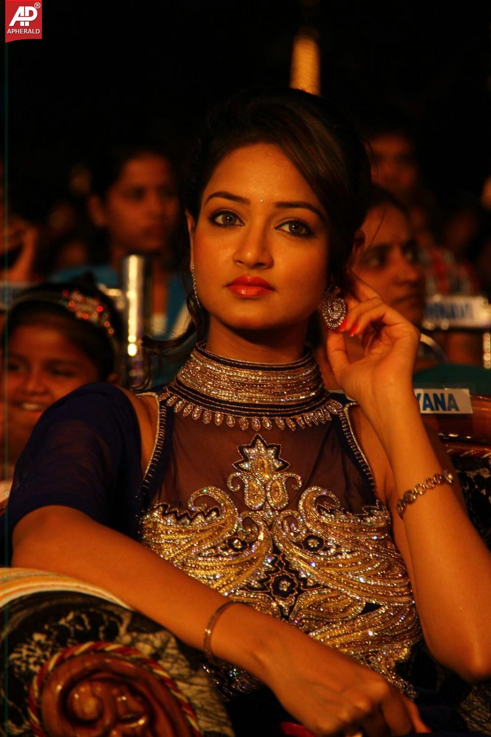 Rowdy Movie Audio Launch 2