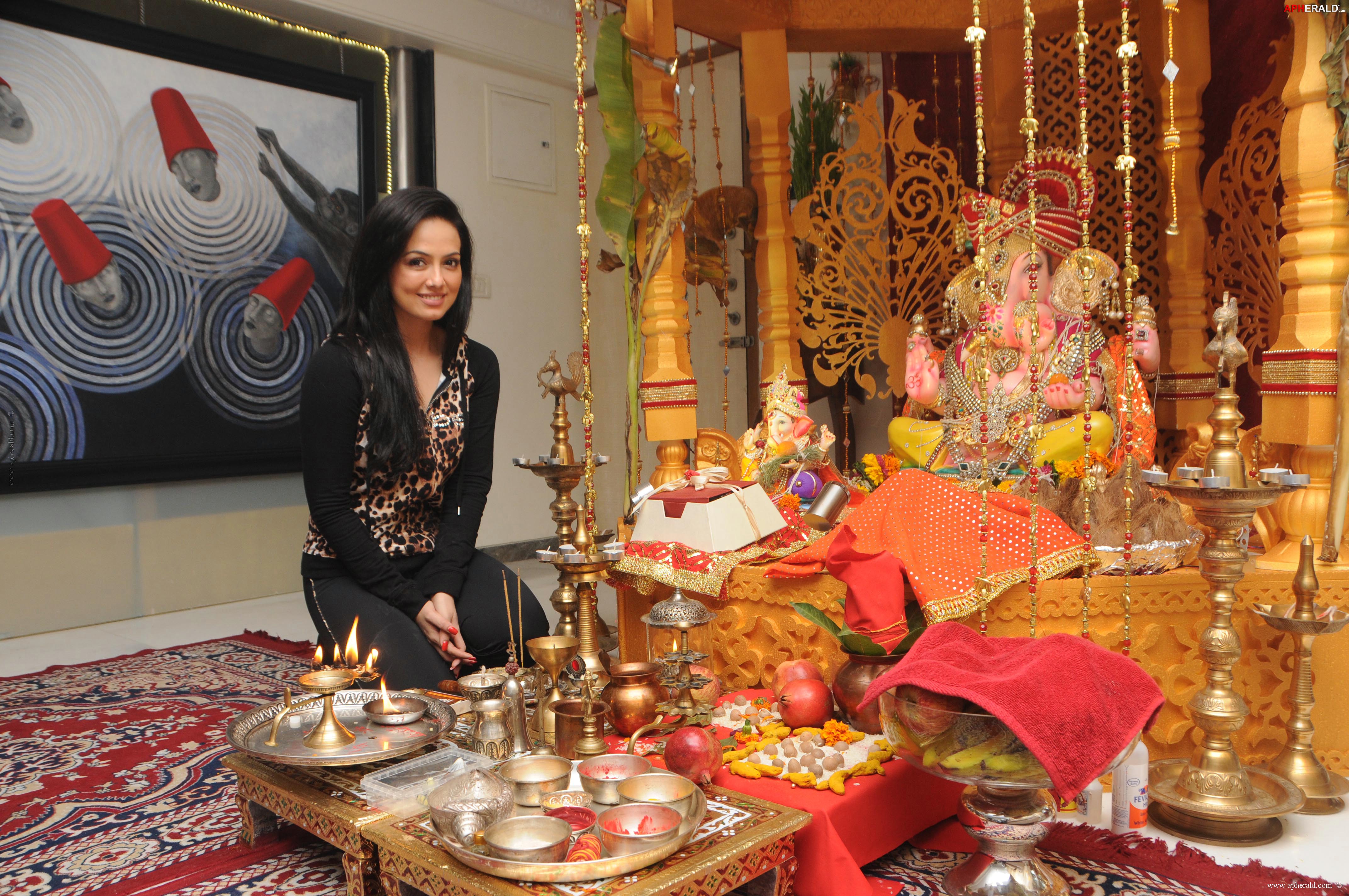 Sana Khan visited Bharti n Kapil Mehra Ganpati