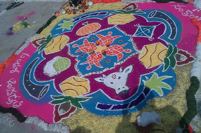 Sankranti muggulu