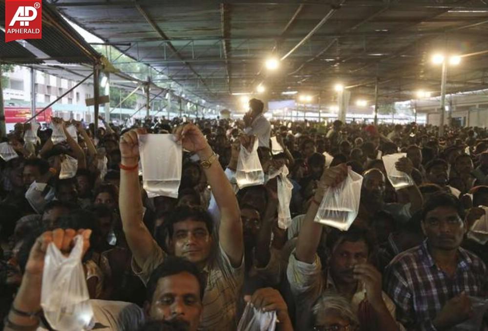 Secret Formula 'Fish Medicine' Administered