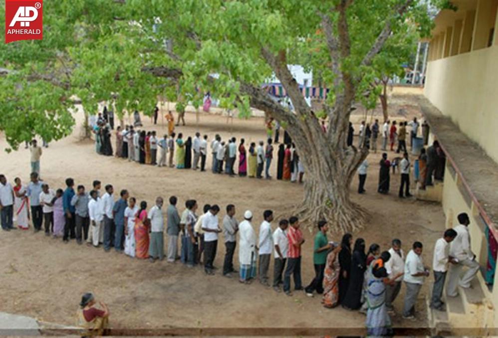 Seemandhra Elections Polling Photos