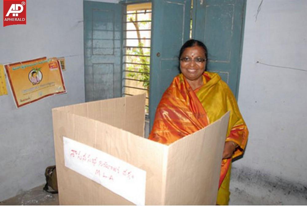 Seemandhra Elections Polling Photos