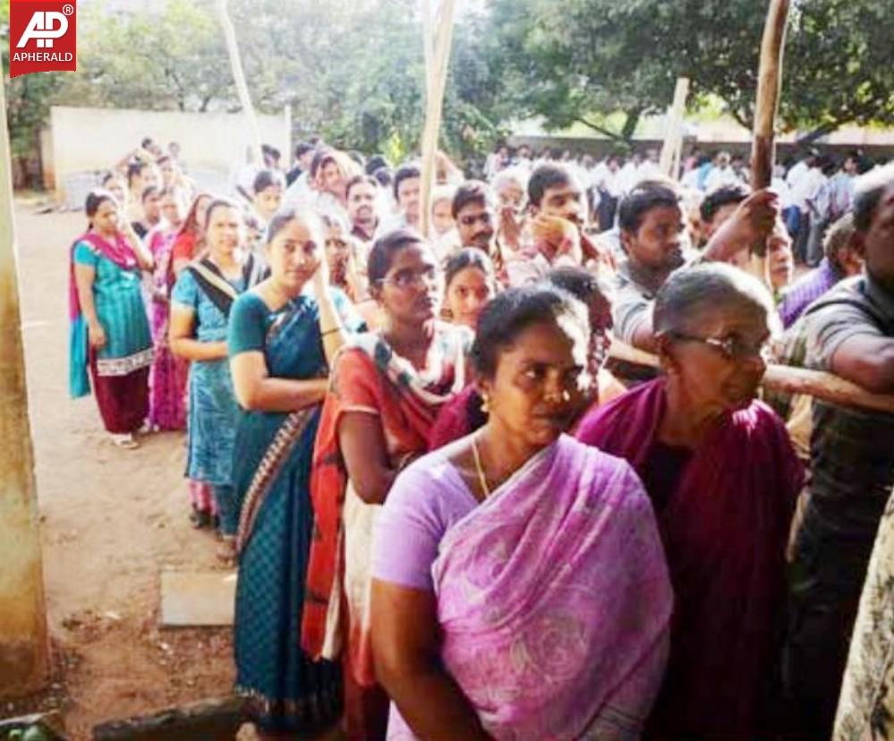 Seemandhra Elections Polling