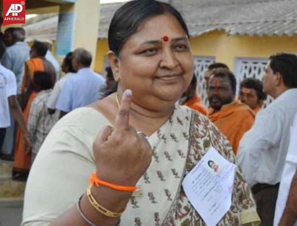 Seemandhra Elections Polling