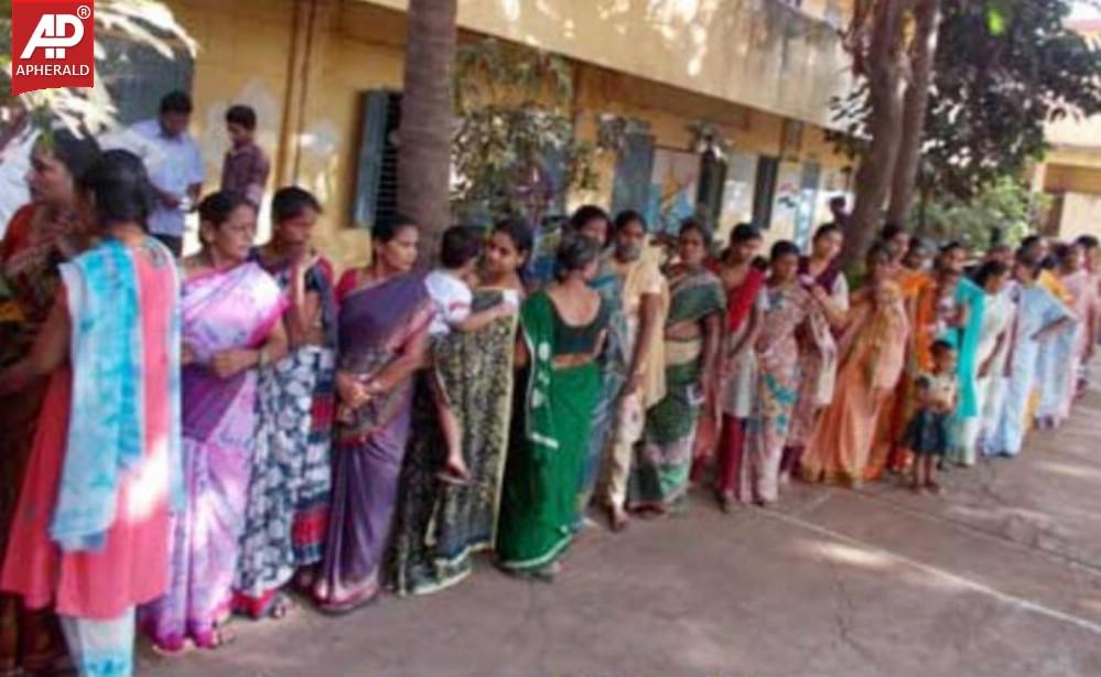 Seemandhra Elections Polling