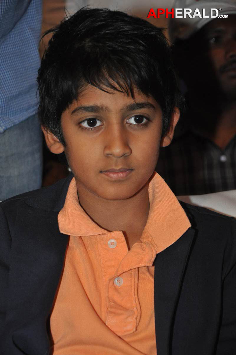 Seethamma Vakitlo Sirimalle Chettu Movie Audio Launch - Part II