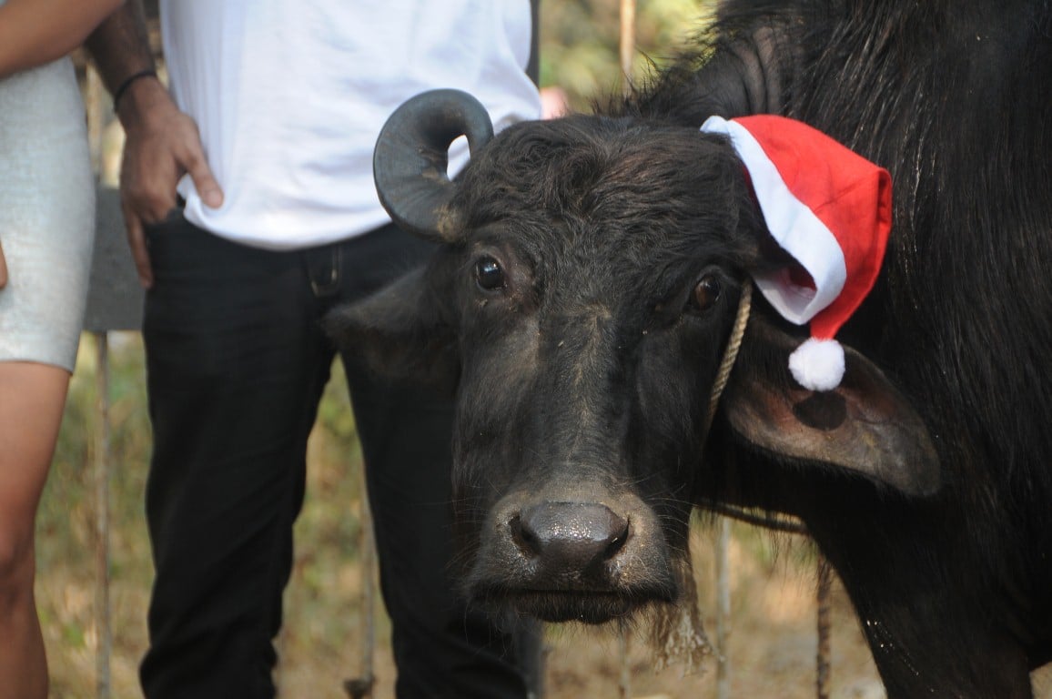 Shoot Wrap Up and XMas Celebration on Location Team Hotel Beautiful