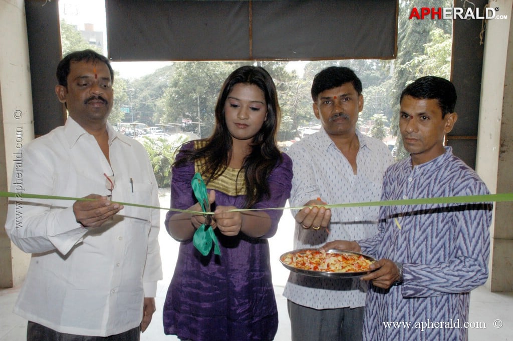 Soujanya at Ikat Art Mela