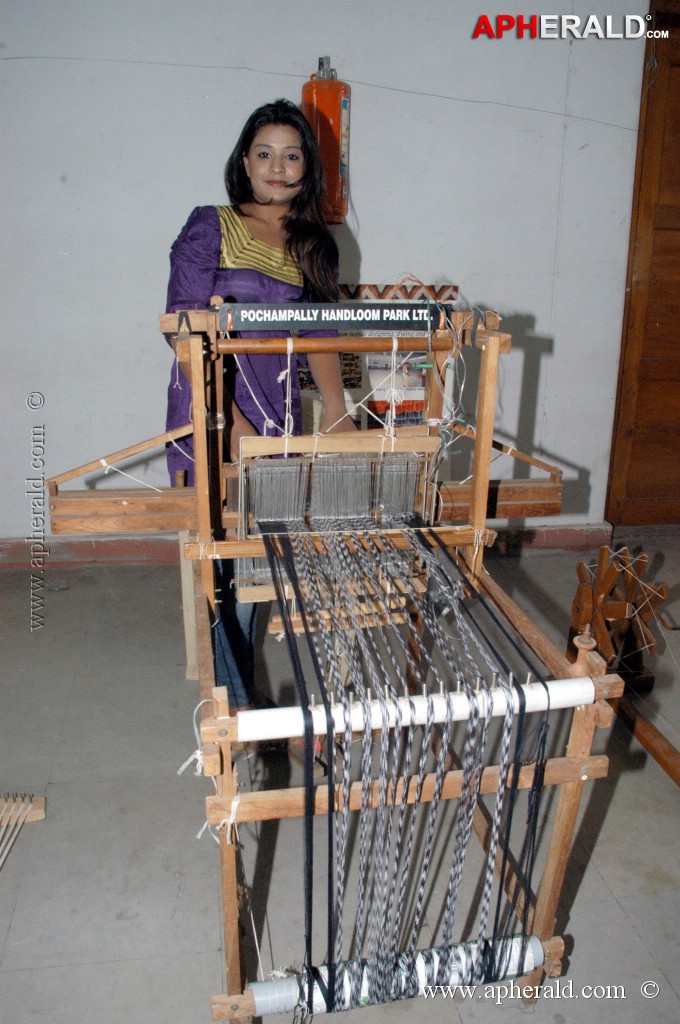 Soujanya at Ikat Art Mela