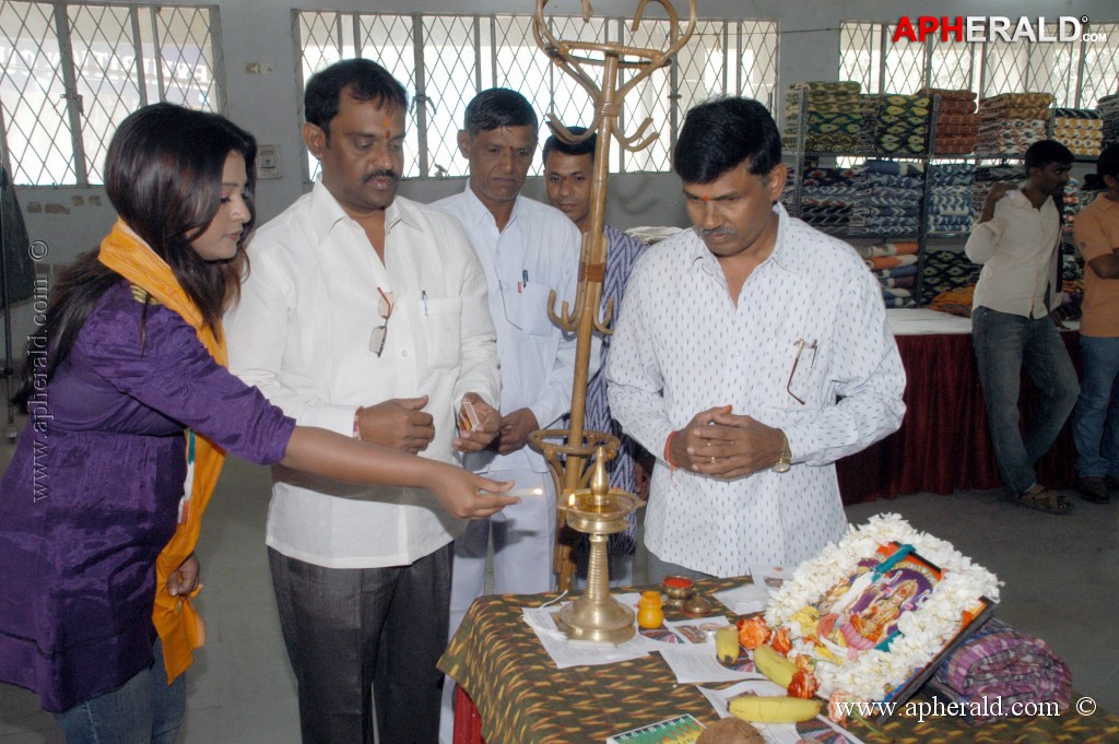 Soujanya at Ikat Art Mela