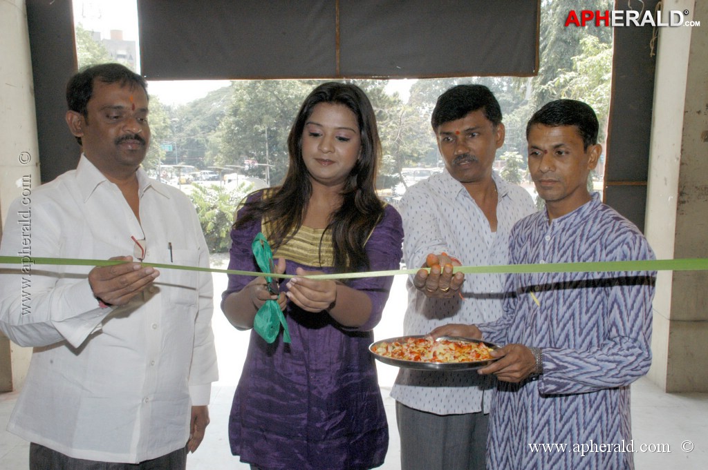 Soujanya at Ikat Art Mela