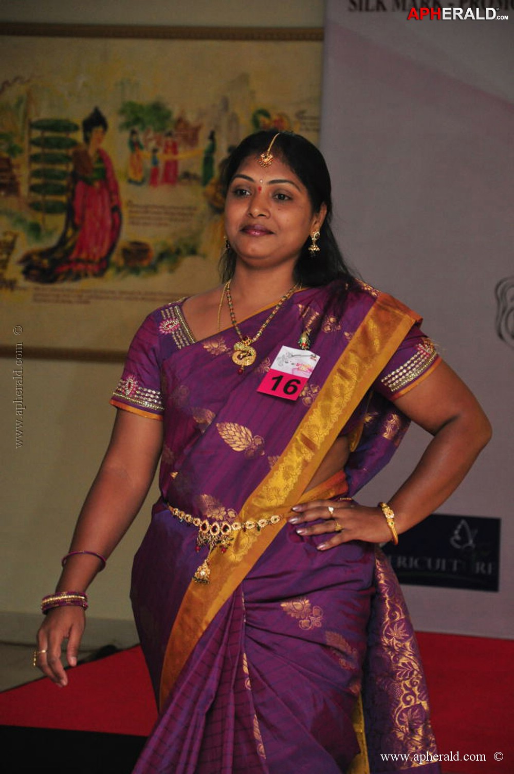 Srimathi Silk Mark Beauty Contest 2013