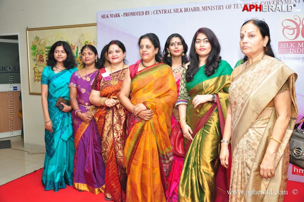 Srimathi Silk Mark Beauty Contest 2013