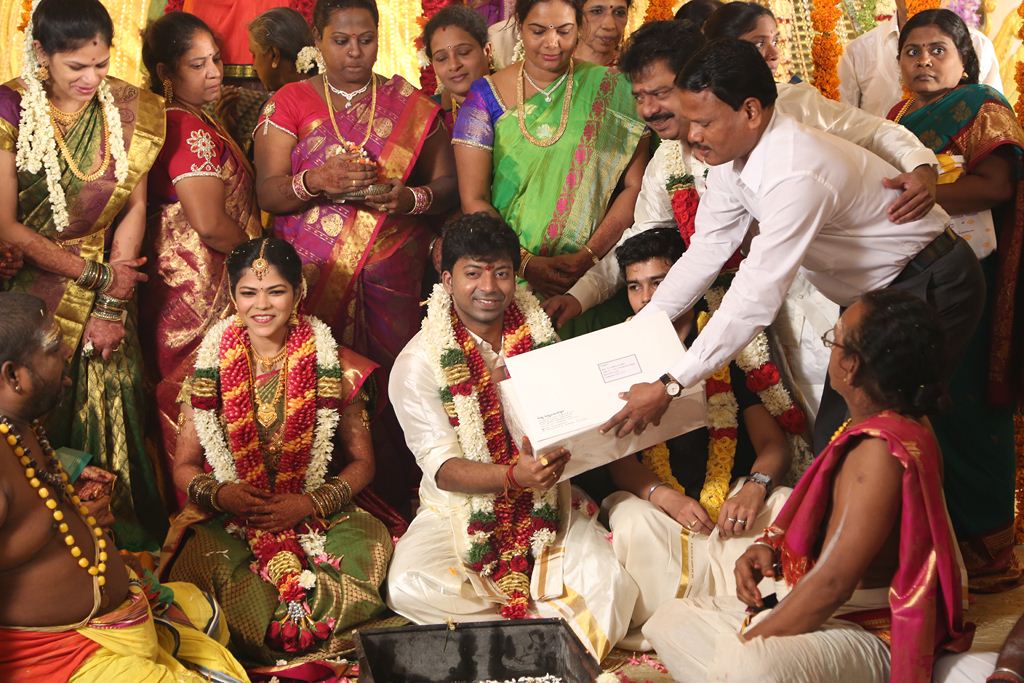 Stars At Actor Pandiarajan Son Wedding