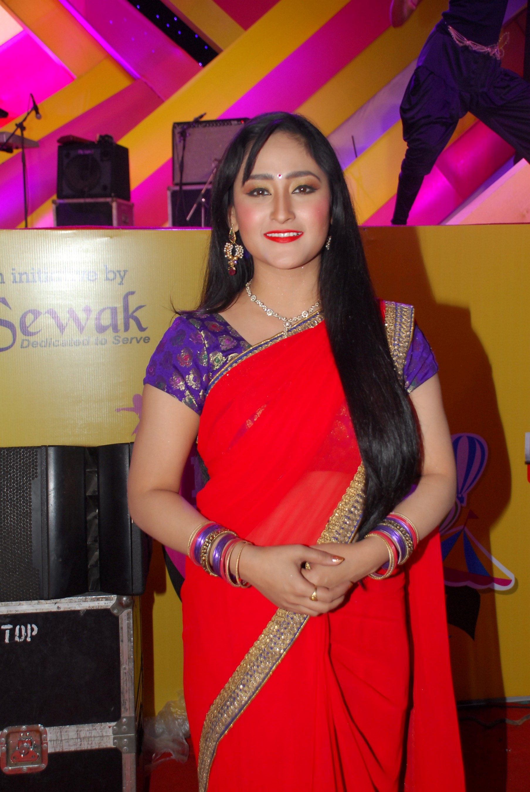 Stars At Mulund Festival 2014
