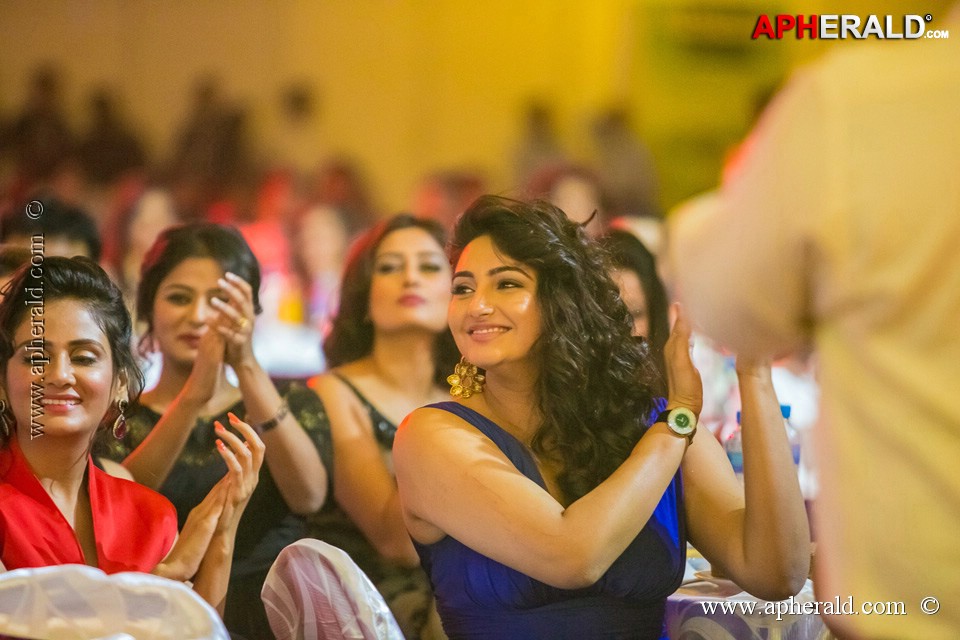 Stars at SIIMA 2013 Awards 5