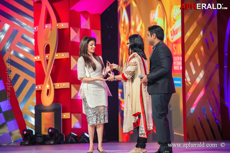 Stars at SIIMA 2013 Awards 5