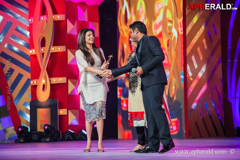 Stars at SIIMA 2013 Awards 5