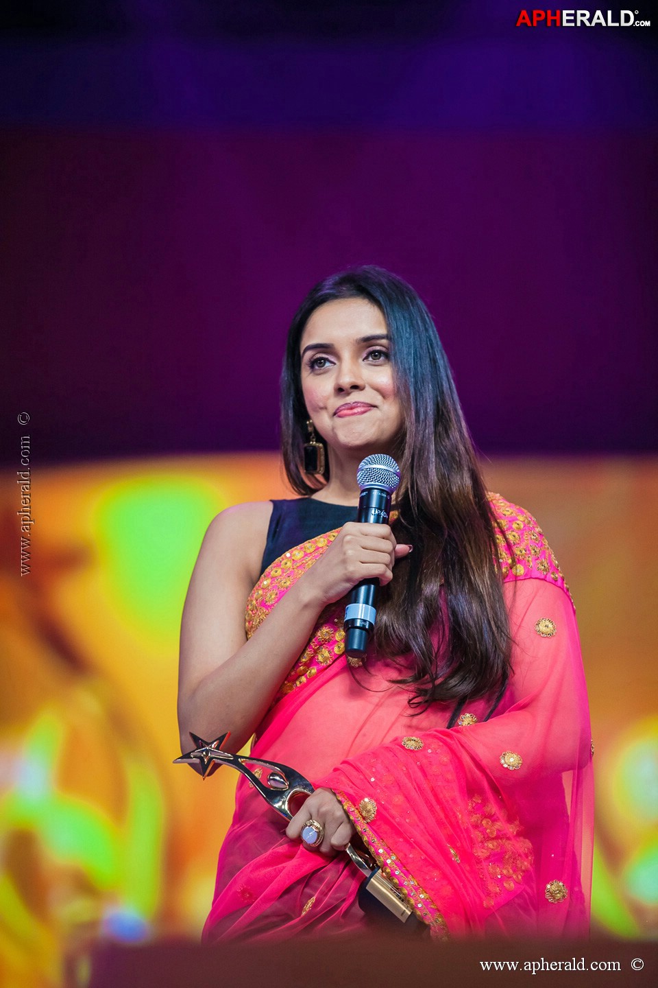 Stars at SIIMA 2013 Awards 5