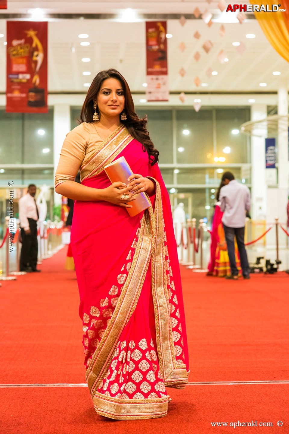 Stars at SIIMA 2013 Awards 5