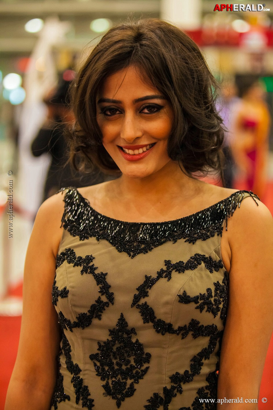 Stars at SIIMA 2013 Awards 5