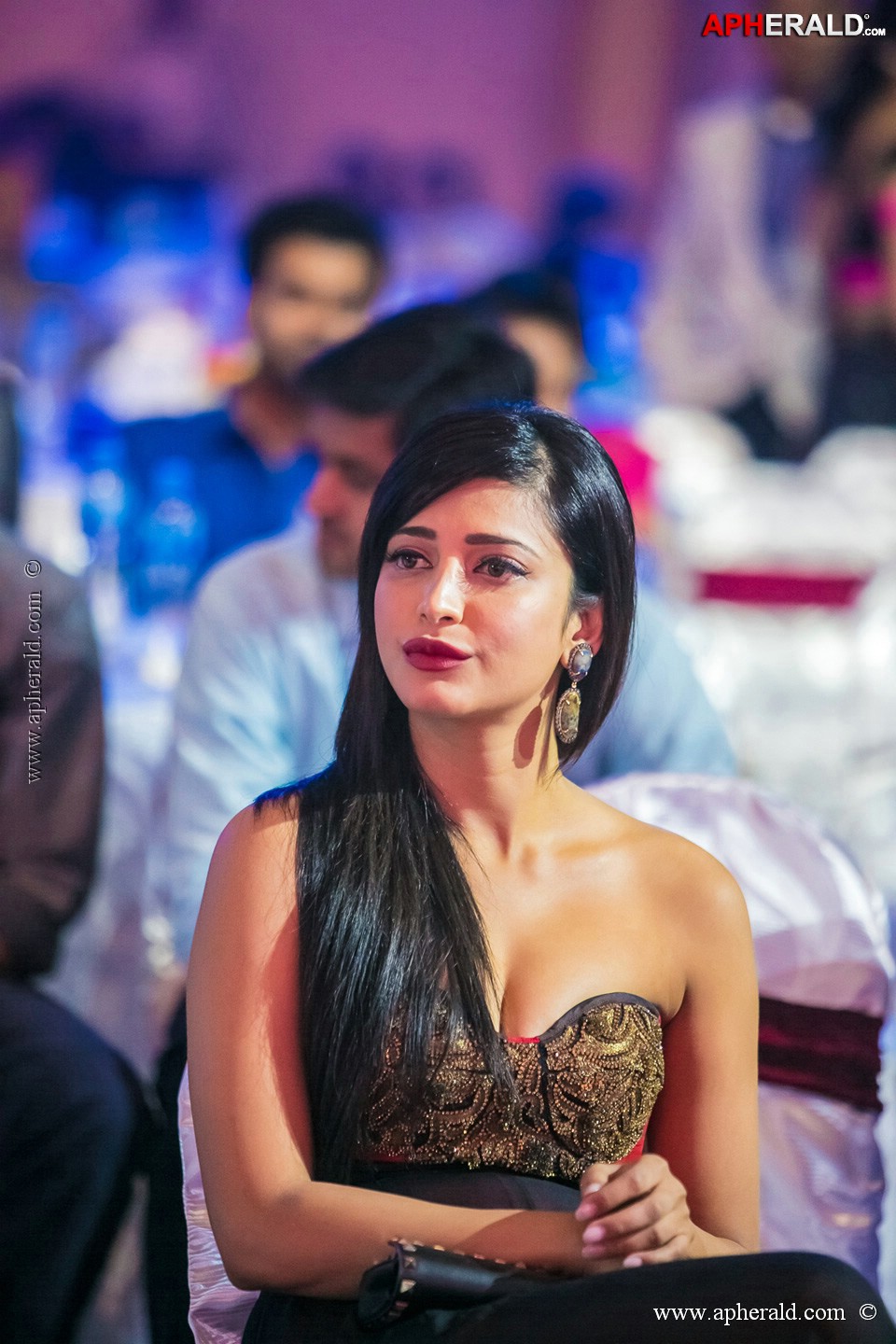 Stars at SIIMA 2013 Awards 5