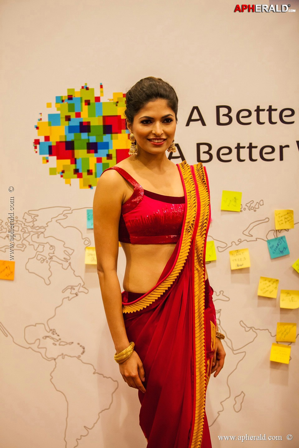 Stars at SIIMA 2013 Awards 5