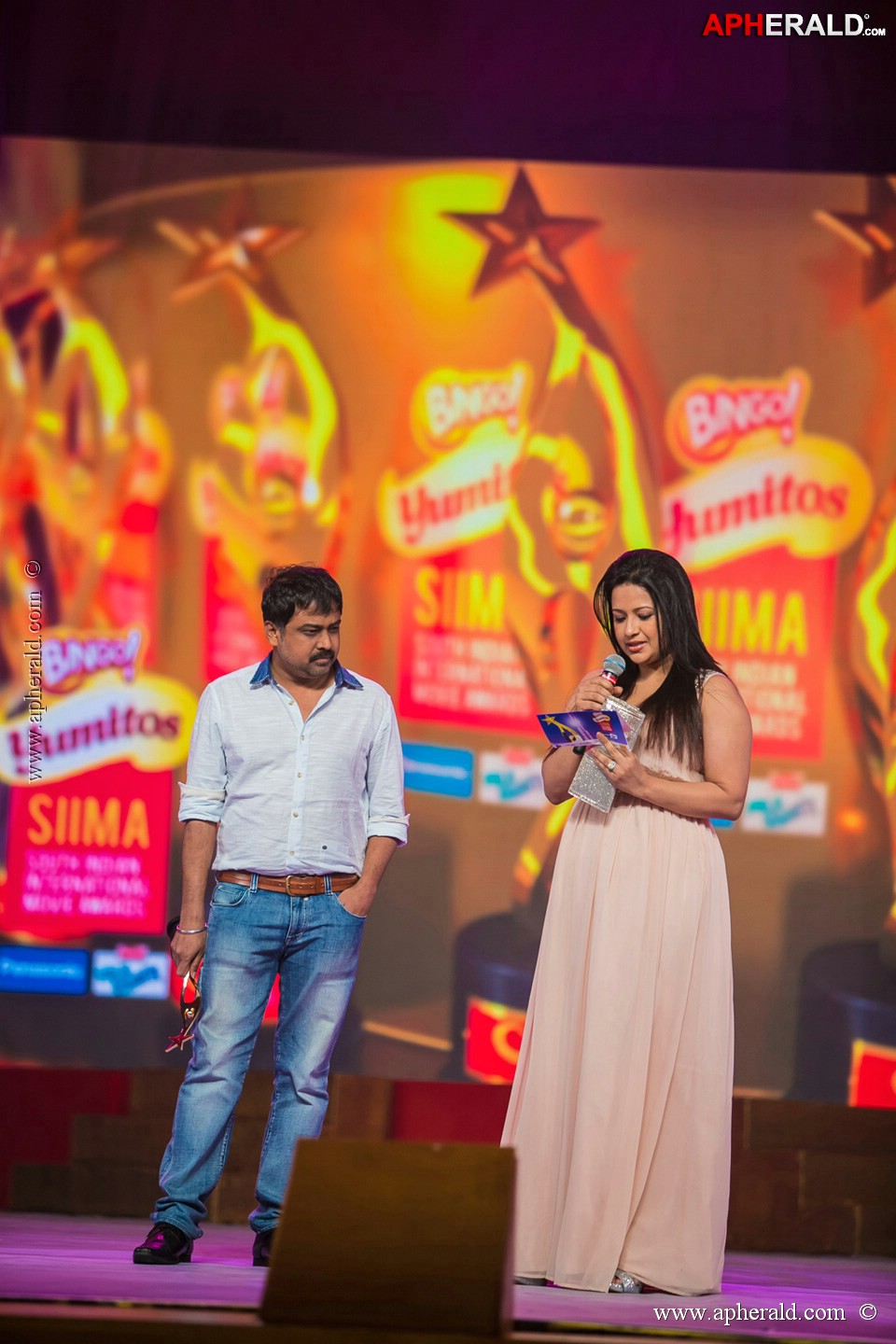 Stars at SIIMA 2013 Awards 5