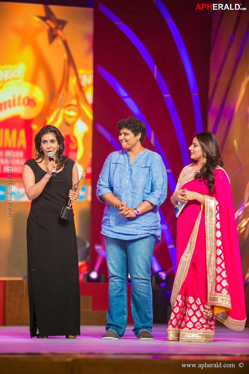 Stars at SIIMA 2013 Awards 5