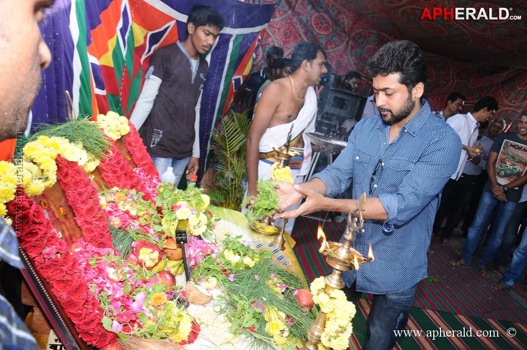 Studio Green Production No 9 Pooja Stills