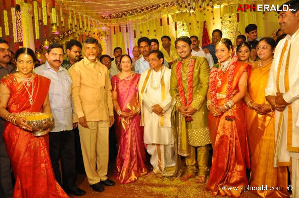 Nukarapu Suryaprakash Rao Daughter Wedding Pics