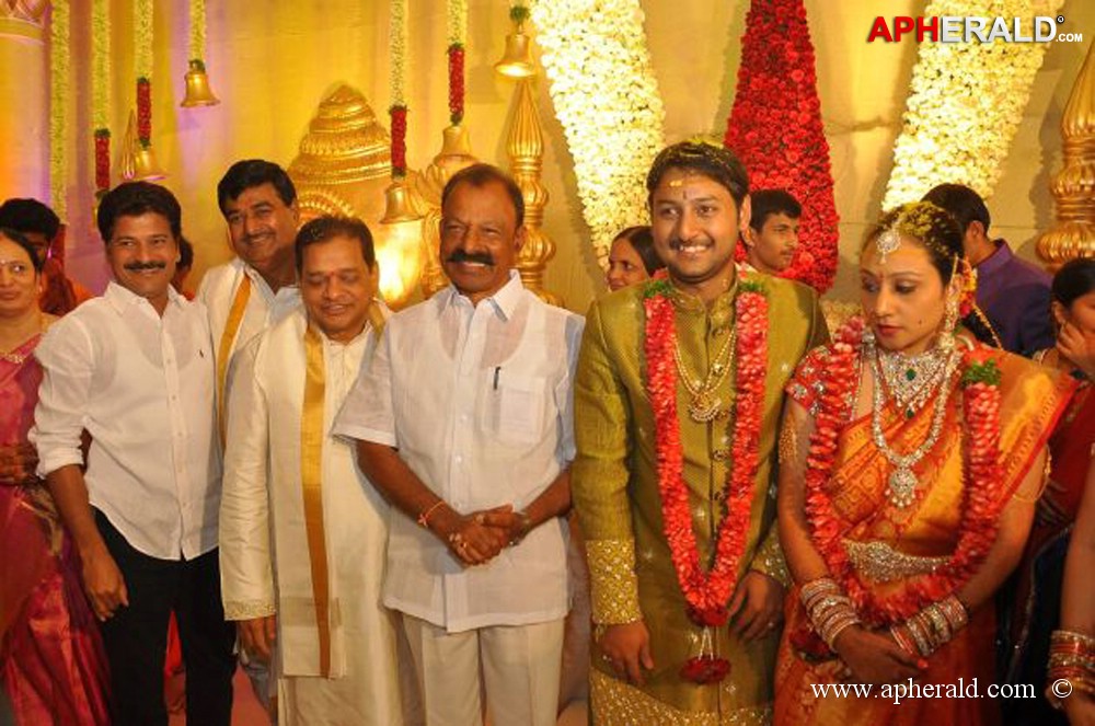 Nukarapu Suryaprakash Rao Daughter Wedding Pics