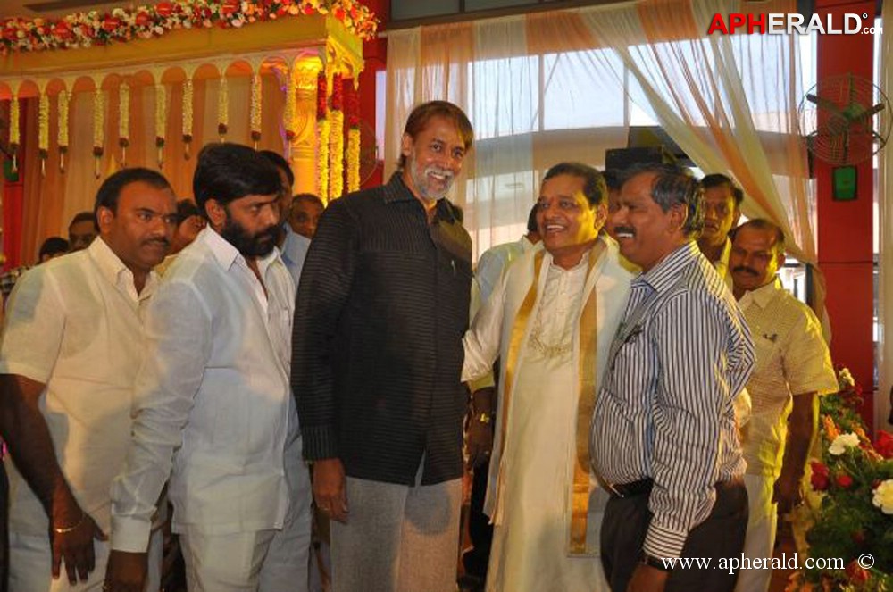 Nukarapu Suryaprakash Rao Daughter Wedding Pics