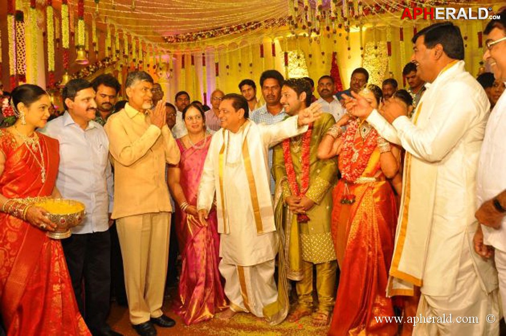 Nukarapu Suryaprakash Rao Daughter Wedding Pics