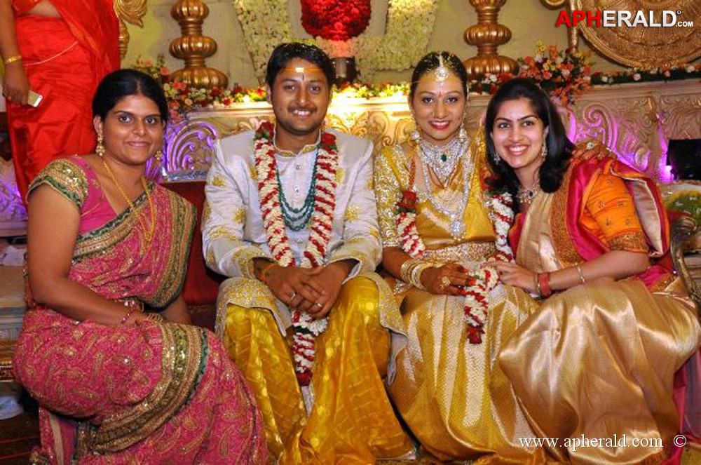 Nukarapu Suryaprakash Rao Daughter Wedding Pics