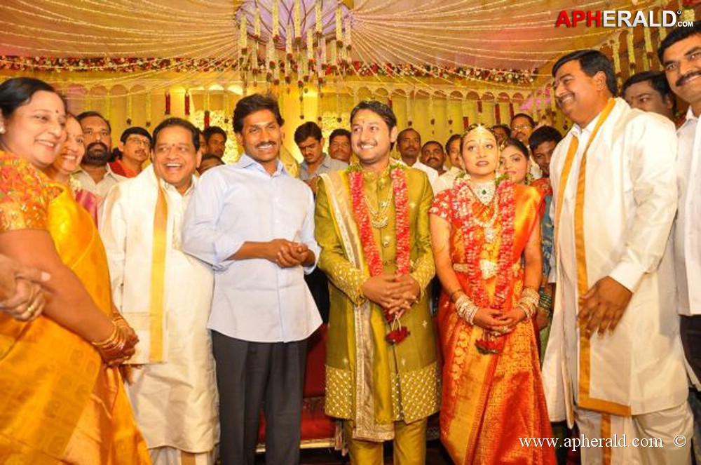 Nukarapu Suryaprakash Rao Daughter Wedding Pics