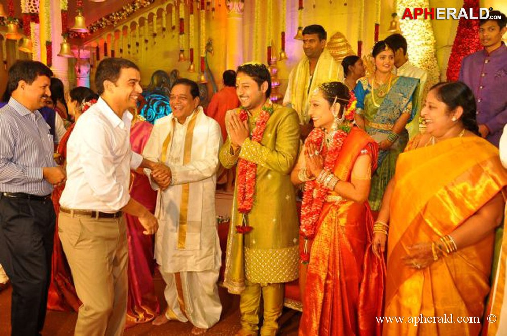 Nukarapu Suryaprakash Rao Daughter Wedding Pics