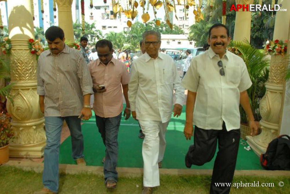 Nukarapu Suryaprakash Rao Daughter Wedding Pics