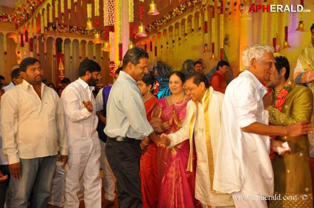 Nukarapu Suryaprakash Rao Daughter Wedding Pics