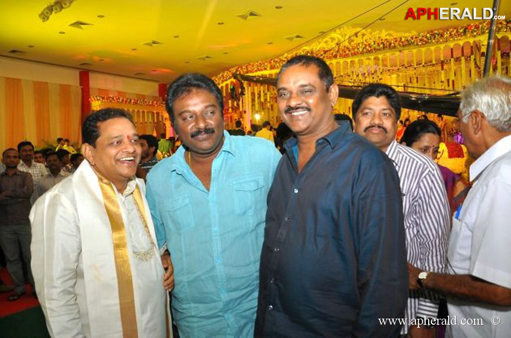 Nukarapu Suryaprakash Rao Daughter Wedding Pics