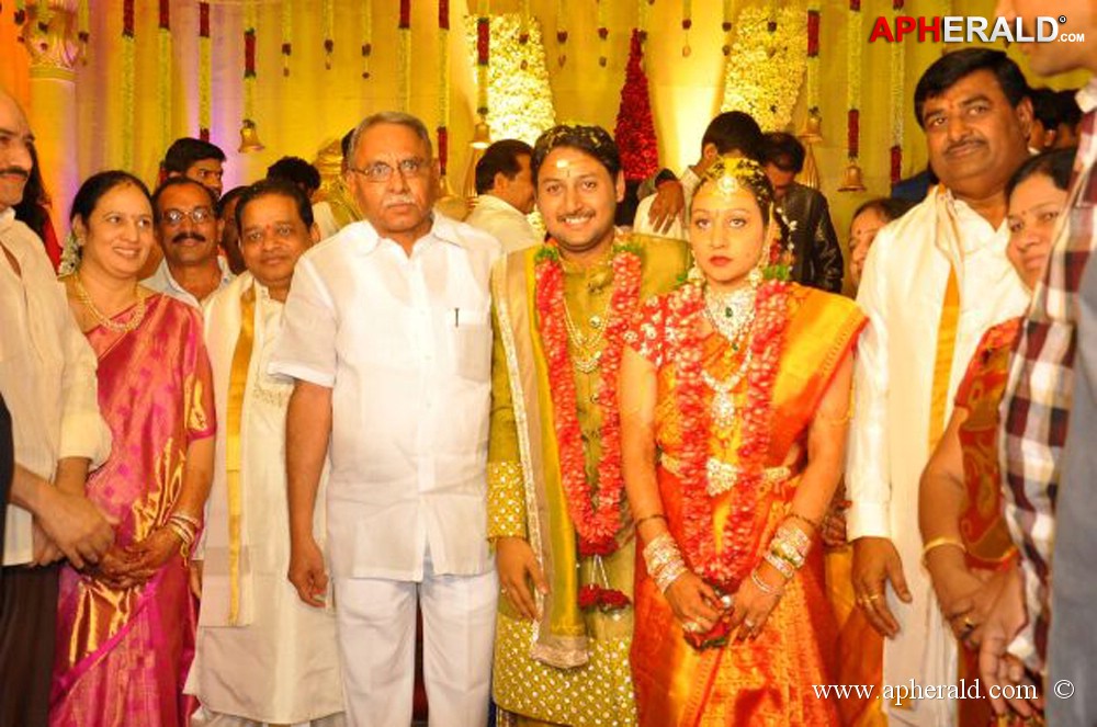 Nukarapu Suryaprakash Rao Daughter Wedding Pics