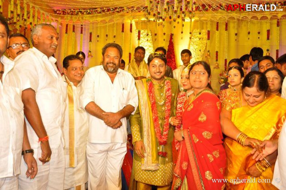 Nukarapu Suryaprakash Rao Daughter Wedding Pics