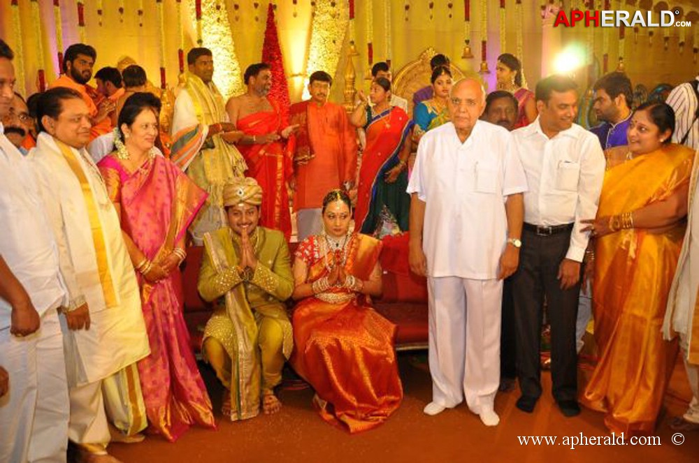 Nukarapu Suryaprakash Rao Daughter Wedding Pics