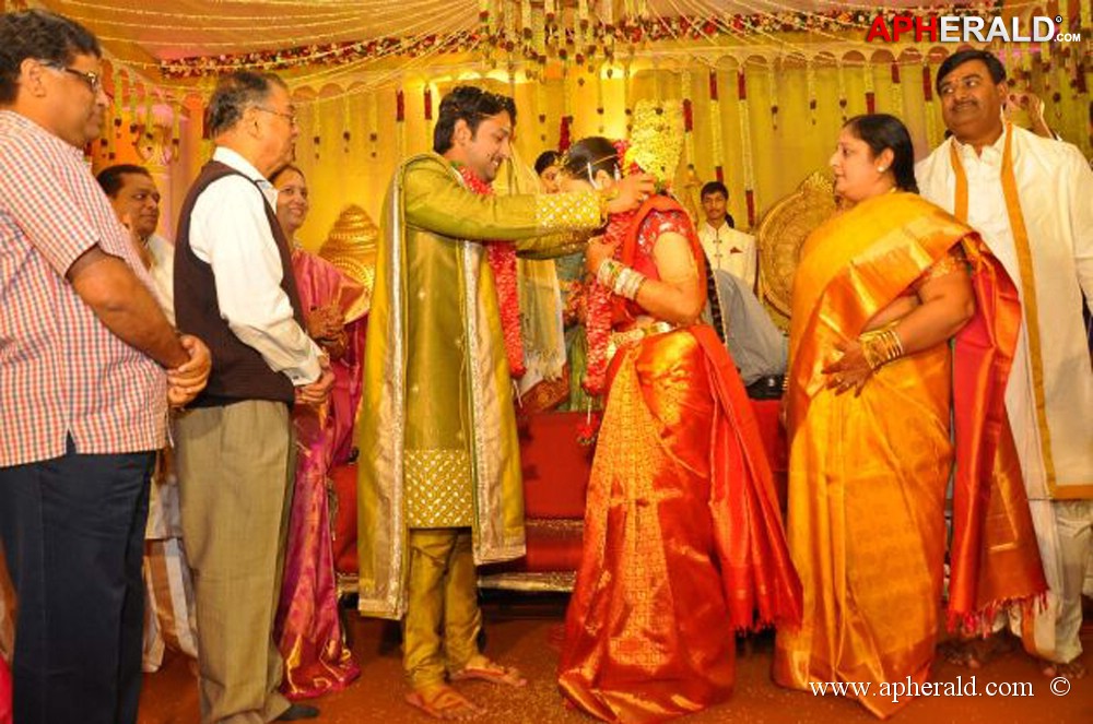 Nukarapu Suryaprakash Rao Daughter Wedding Pics