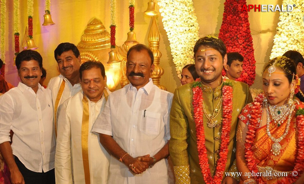 Nukarapu Suryaprakash Rao Daughter Wedding Pics