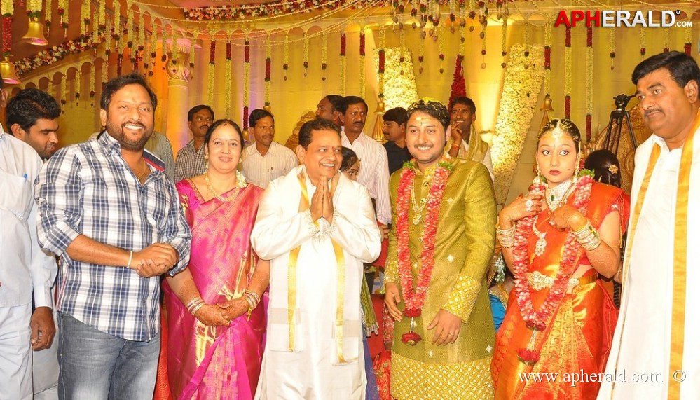 Nukarapu Suryaprakash Rao Daughter Wedding Pics