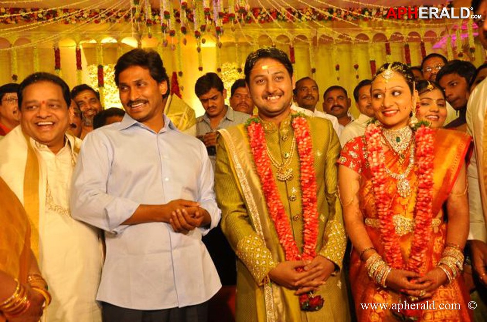Nukarapu Suryaprakash Rao Daughter Wedding Pics