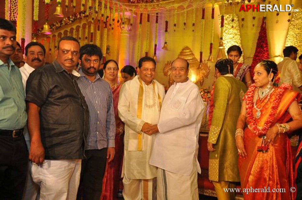 Nukarapu Suryaprakash Rao Daughter Wedding Pics