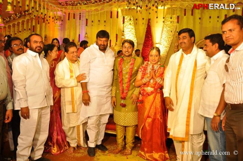 Nukarapu Suryaprakash Rao Daughter Wedding Pics