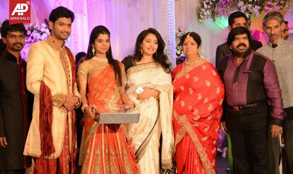 T Rajendar Daughter Ilakkiya Wedding Reception Photos